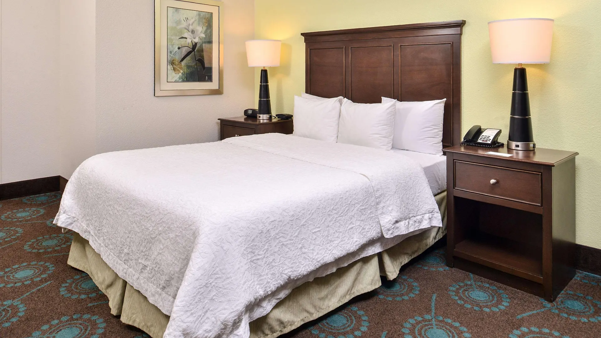 Hampton Inn & Suites Newport News-Airport - Oyster Point Area Hotel